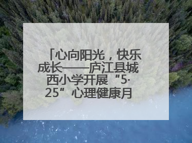 心向阳光，快乐成长——庐江县城西小学开展“5·25”心理健康月系列活动