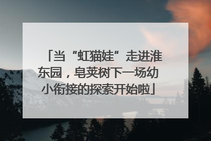 当“虹猫娃”走进淮东园，皂荚树下一场幼小衔接的探索开始啦