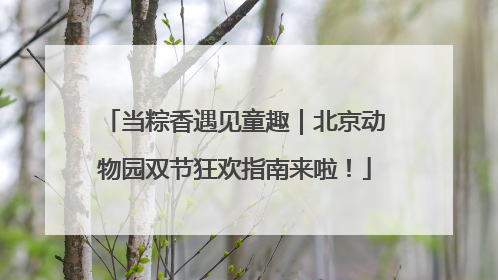 当粽香遇见童趣｜北京动物园双节狂欢指南来啦！
