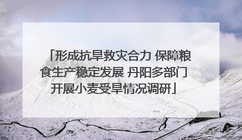 形成抗旱救灾合力 保障粮食生产稳定发展 丹阳多部门开展小麦受旱情况调研