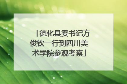 德化县委书记方俊钦一行到四川美术学院参观考察