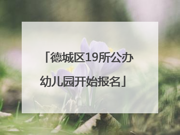 德城区19所公办幼儿园开始报名