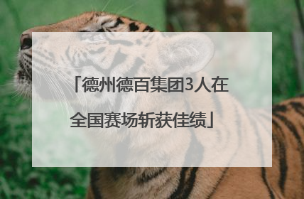 德州德百集团3人在全国赛场斩获佳绩