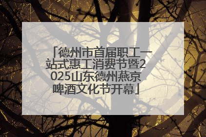 德州市首届职工一站式惠工消费节暨2025山东德州燕京啤酒文化节开幕