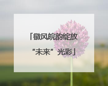 徽风皖韵绽放“未来”光彩