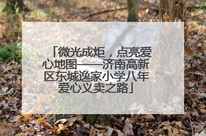 微光成炬，点亮爱心地图——济南高新区东城逸家小学八年爱心义卖之路