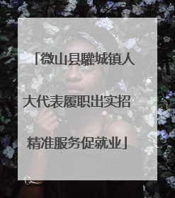 微山县驩城镇人大代表履职出实招精准服务促就业