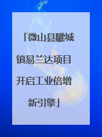 微山县驩城镇易兰达项目开启工业倍增新引擎
