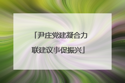 尹庄党建凝合力 联建议事促振兴