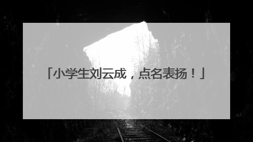 小学生刘云成，点名表扬！