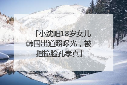 小沈阳18岁女儿韩国出道照曝光，被指撞脸孔孝真