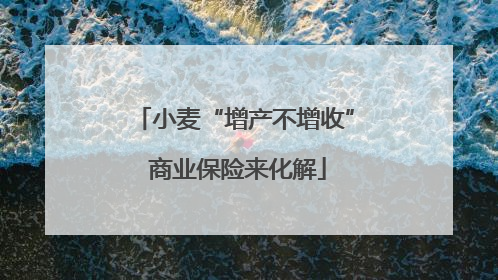 小麦“增产不增收” 商业保险来化解
