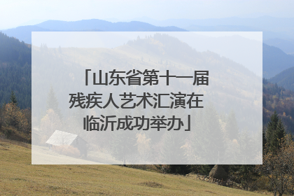 山东省第十一届残疾人艺术汇演在临沂成功举办
