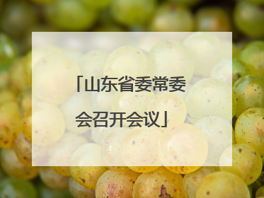 山东省委常委会召开会议