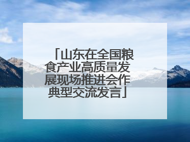 山东在全国粮食产业高质量发展现场推进会作典型交流发言