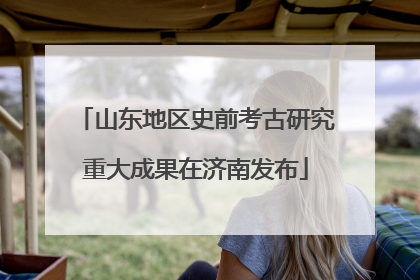 山东地区史前考古研究重大成果在济南发布