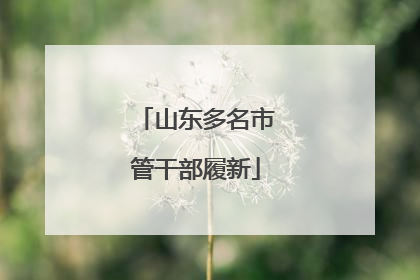 山东多名市管干部履新