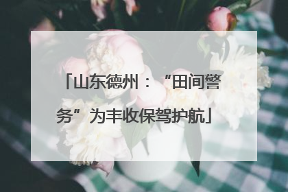 山东德州：“田间警务”为丰收保驾护航
