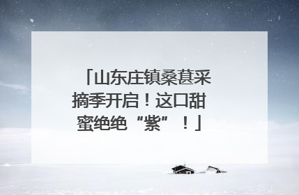 山东庄镇桑葚采摘季开启！这口甜蜜绝绝“紫”！