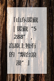 山东援藏｜援藏“5288”，高原上独有的“烟台浪漫”
