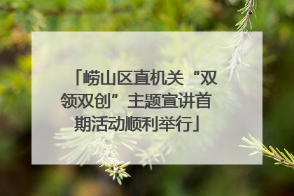 崂山区直机关“双领双创”主题宣讲首期活动顺利举行