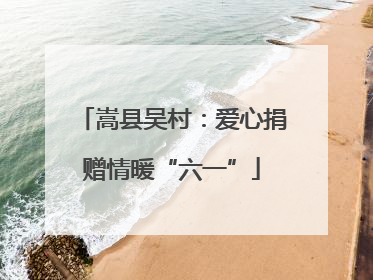 嵩县吴村：爱心捐赠情暖“六一”