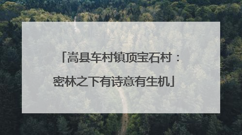 嵩县车村镇顶宝石村：密林之下有诗意有生机