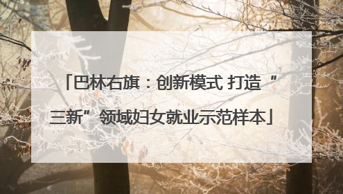 巴林右旗：创新模式 打造“三新”领域妇女就业示范样本