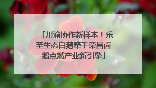 川渝协作新样本！乐至生态白鹅牵手荣昌卤鹅点燃产业新引擎