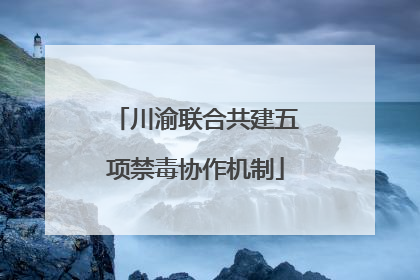 川渝联合共建五项禁毒协作机制