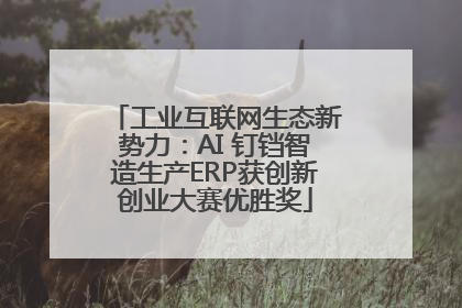 工业互联网生态新势力：AI 钉铛智造生产ERP获创新创业大赛优胜奖
