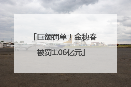 巨额罚单！金穗春被罚1.06亿元