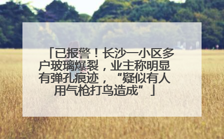 已报警！长沙一小区多户玻璃爆裂，业主称明显有弹孔痕迹，“疑似有人用气枪打鸟造成”