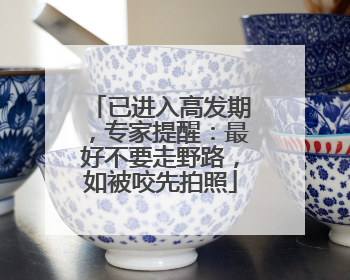 已进入高发期，专家提醒：最好不要走野路，如被咬先拍照