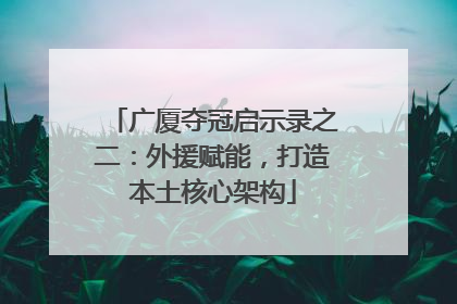 广厦夺冠启示录之二：外援赋能，打造本土核心架构