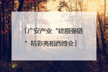 广安产业“建圈强链”精彩亮相西博会