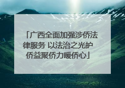 广西全面加强涉侨法律服务 以法治之光护侨益聚侨力暖侨心