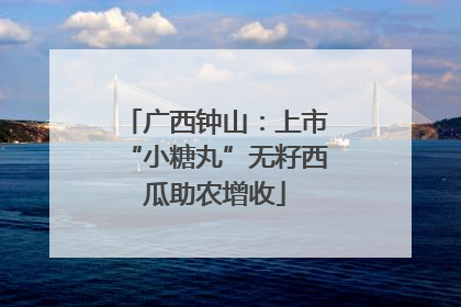 广西钟山：上市“小糖丸”无籽西瓜助农增收