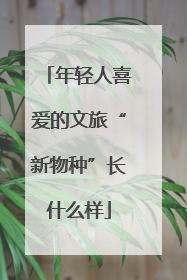 年轻人喜爱的文旅“新物种”长什么样