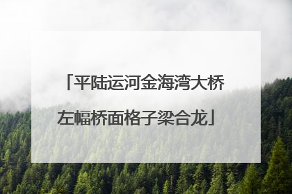 平陆运河金海湾大桥左幅桥面格子梁合龙
