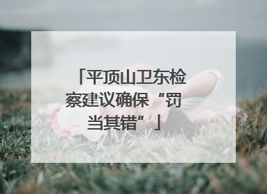 平顶山卫东检察建议确保“罚当其错”