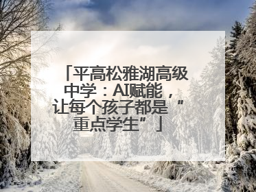 平高松雅湖高级中学：AI赋能，让每个孩子都是“重点学生”