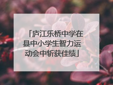 庐江乐桥中学在县中小学生智力运动会中斩获佳绩