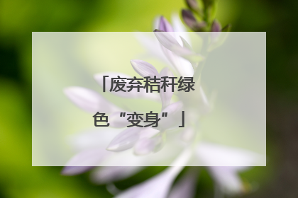 废弃秸秆绿色“变身”