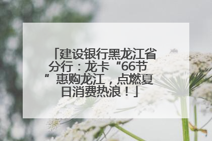 建设银行黑龙江省分行：龙卡“66节”惠购龙江，点燃夏日消费热浪！