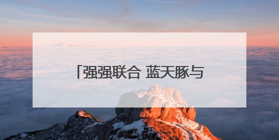 强强联合 蓝天豚与安徽头部装企荣锋装饰集团达成战略合作