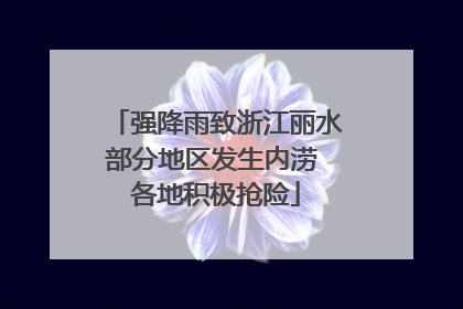 强降雨致浙江丽水部分地区发生内涝 各地积极抢险