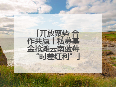 开放聚势 合作共赢丨私募基金抢滩云南蓝莓“时差红利”