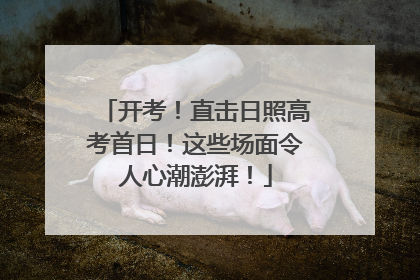 开考！直击日照高考首日！这些场面令人心潮澎湃！