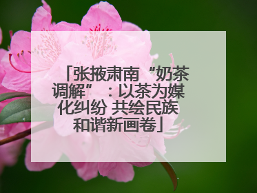 张掖肃南“奶茶调解”：以茶为媒化纠纷 共绘民族和谐新画卷